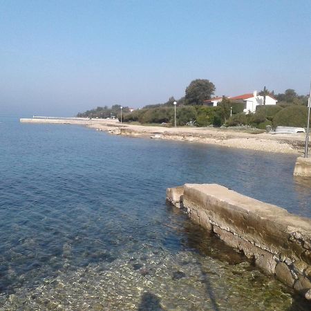 Apartmani Matela Petrcane Esterno foto